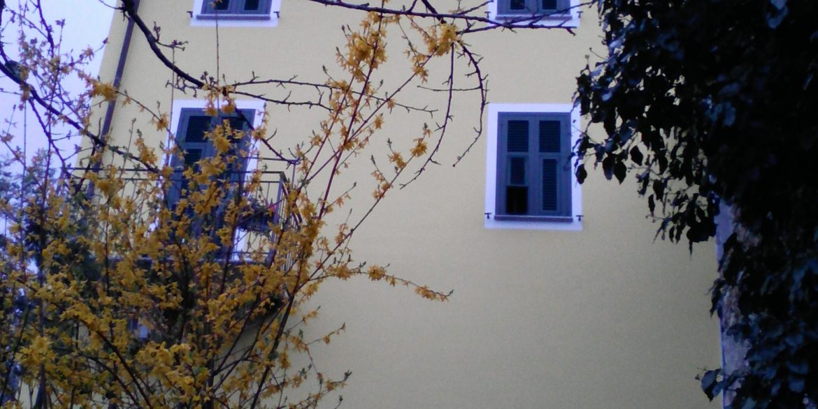 Exif_JPEG_420