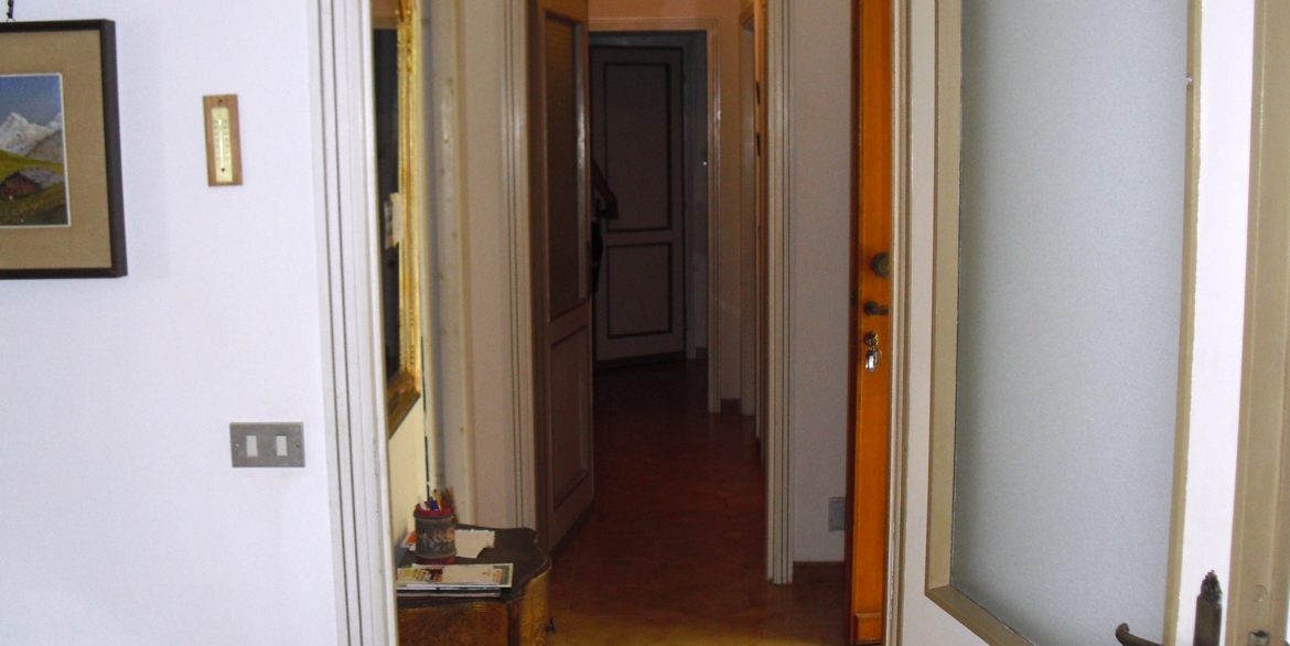 CIMG1154