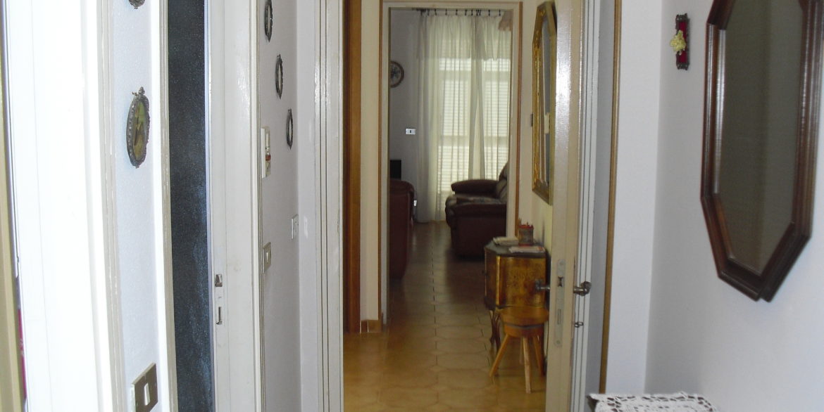 CIMG1161